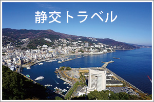 静岡交通株式会社